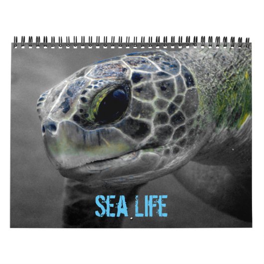 Zee levenskalender kalender (Hoes)