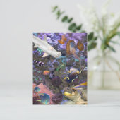 Zee Life Briefkaart (Staand voorkant)