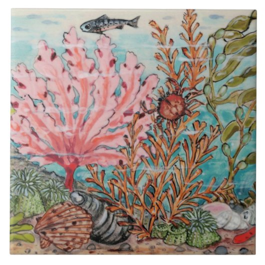 Zee Life Crab Coral Fish Marine Beach Mural Pc#2 Tegeltje (Voorkant)
