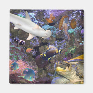 Zee Life Magnet Magneet