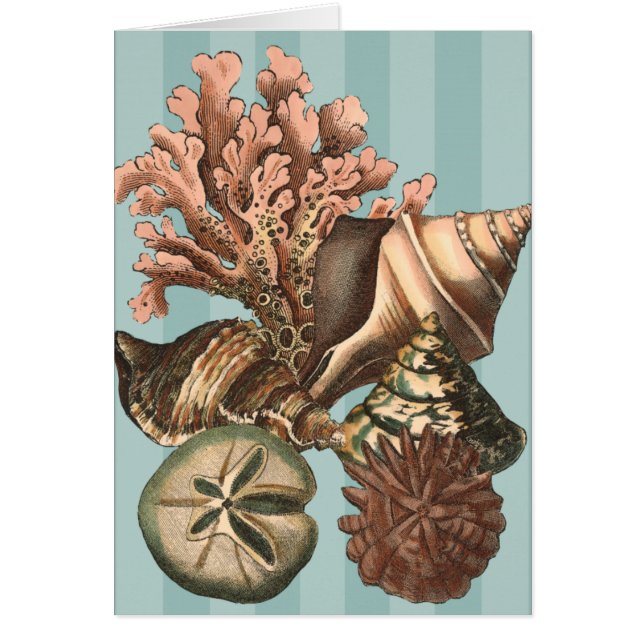 Zee Life Silhouette (Voorkant)