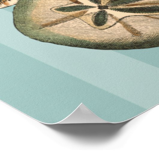 Zee Life Silhouette Poster (Hoek)