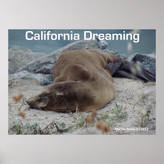 Zee Lion - California Dreaming - Poster (Voorkant)