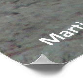 Zee Lion - Chin Up - Poster (Hoek)