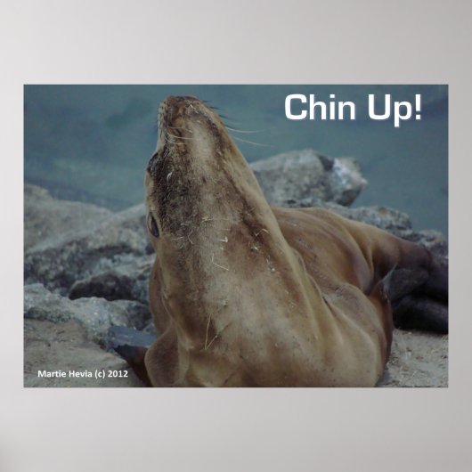 Zee Lion - Chin Up - Poster (Voorkant)