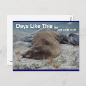 Zee Lion - dagen zoals deze - Briefkaart (Voorkant / Achterkant)