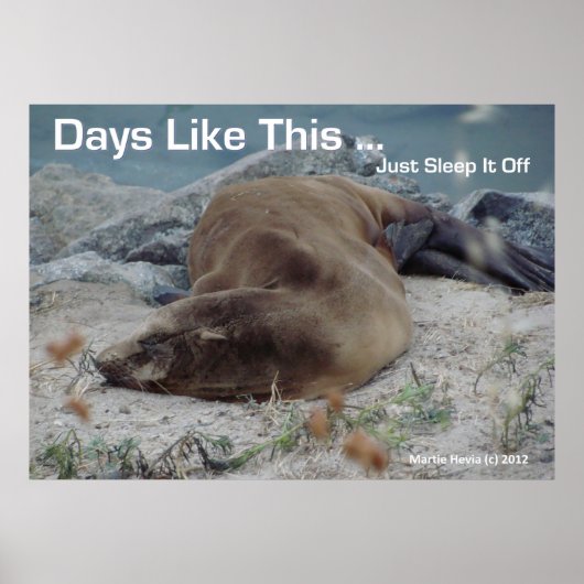 Zee Lion - dagen zoals deze - Poster (Voorkant)