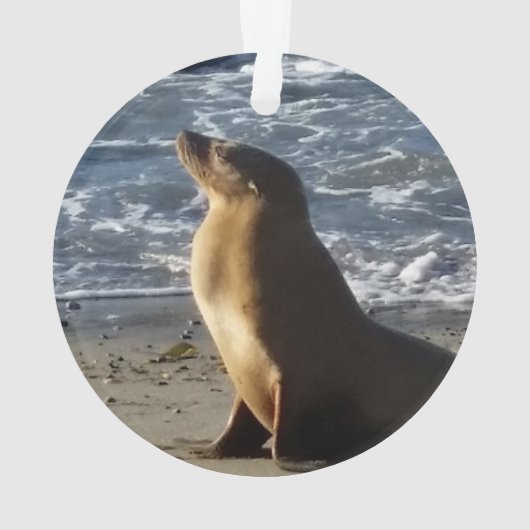 Zee Lion kerstversiering Ornament (achterkant)