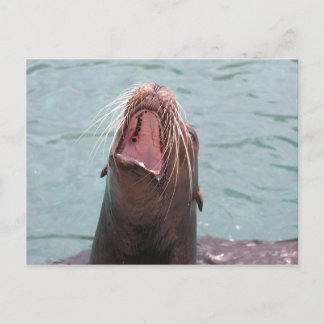 Zee Lion Mouth Open Briefkaart