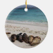 Zee Lion Ornament (Achterkant)