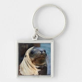 Zee Lion Portrait Sleutelhanger