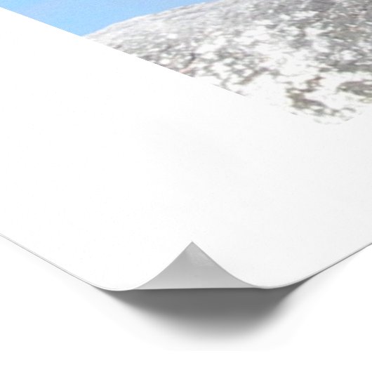 Zee Lion Poster (Hoek)