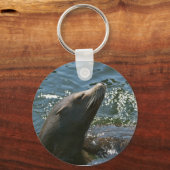 Zee Lion Sleutelhanger (Voorkant)