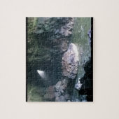 Zee liongrot, OF Legpuzzel (Verticaal)