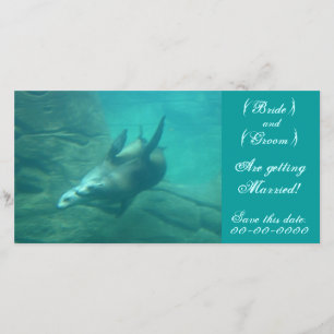 Zee Lions Deze datum opslaan Fotokaart Save The Date