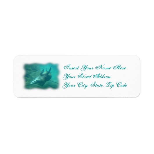 Zee Lions labels (Voorkant)