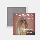 Zee Lions Magneet (Voorkant / Achterkant)