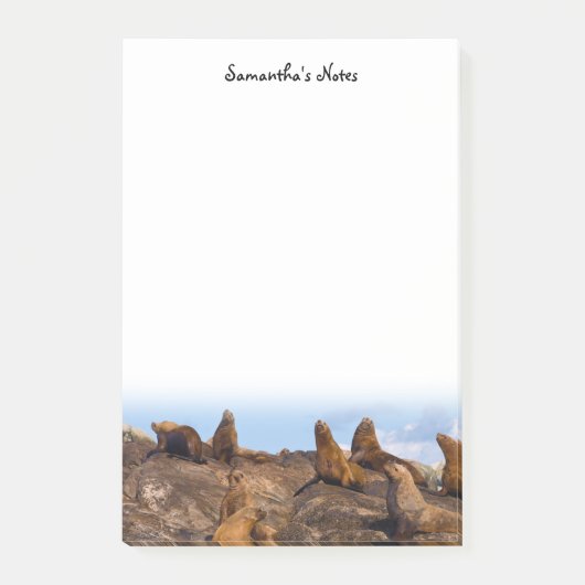 Zee Lions Post-It Notes (Voorkant)