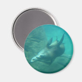 Zee Lions Round Magnet Magneet (Voorkant / Achterkant)