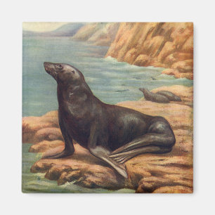 Zee Lood door de zeeoor, zeezoogdieren Magneet