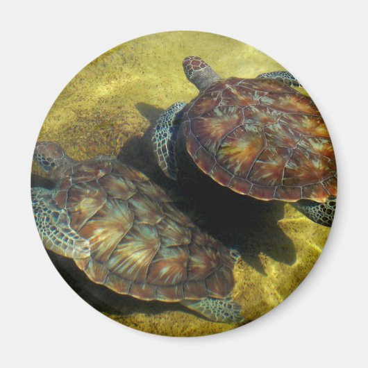 Zee Magneet (Voorkant)