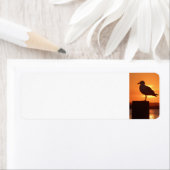 Zee meeuw bij zonsondergang etiket (Insitu)