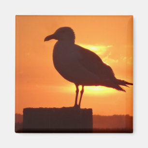 Zee meeuw bij zonsondergang magneet
