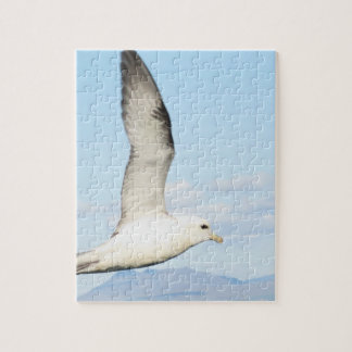 Zee Meeuw in Vlucht Puzzel