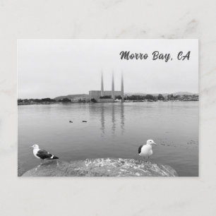 Zee Meeuwen in Morro Bay Californië Briefkaart