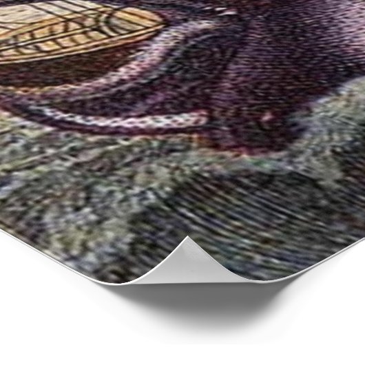  Zee Monster Print (Hoek)