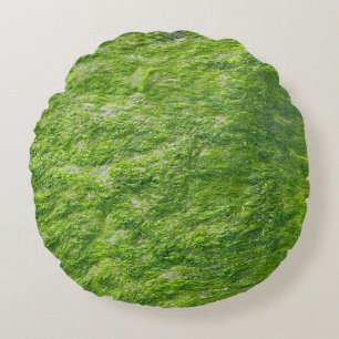 Zee Mos Groen Natuur Grass Beach Nautisch Rond Kussen