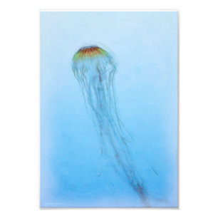 Zee Nettle Foto Afdruk