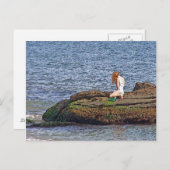 Zee Nymph Briefkaart (Voorkant / Achterkant)