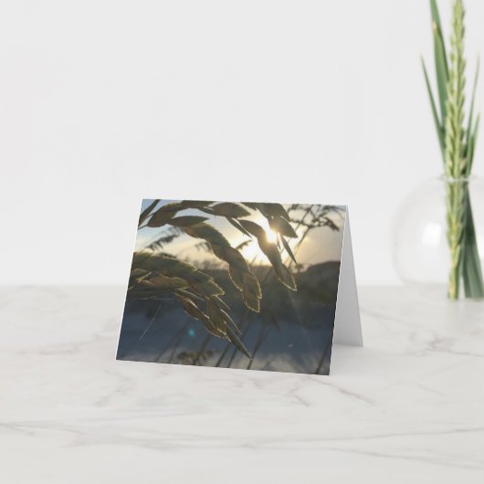 Zee Oats briefkaart (Voorkant)