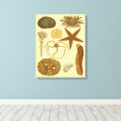 Zee onder water canvas afdruk (Insitu (Houten vloer))