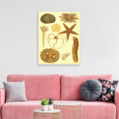 Zee onder water canvas afdruk (Insitu (Woonkamer))