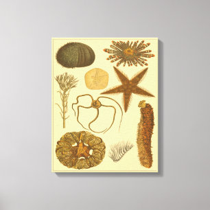 Zee onder water canvas afdruk