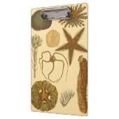 Zee onder water klembord (Links)