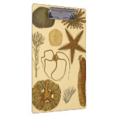 Zee onder water klembord (Rechts)