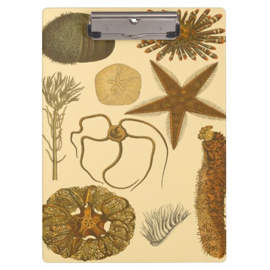 Zee onder water klembord (Voorkant)