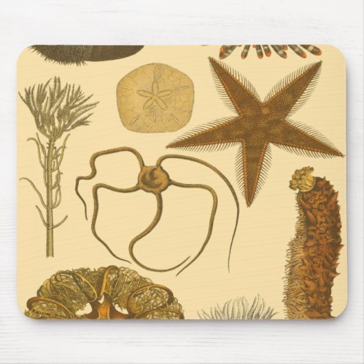 Zee onder water muismat (Voorkant)