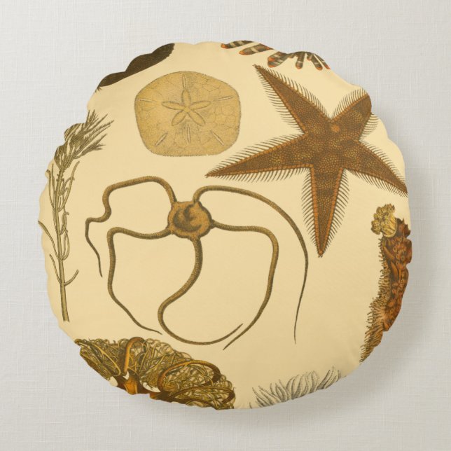 Zee onder water rond kussen (Voorkant)