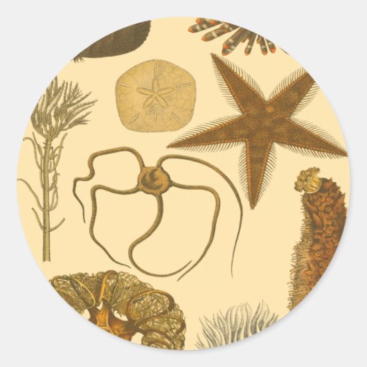 Zee onder water ronde sticker (Voorkant)