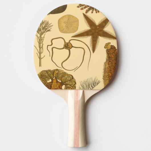 Zee onder water tafeltennisbatje (Voorkant)