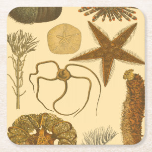 Zee onder water vierkante kartonnen onderzetter