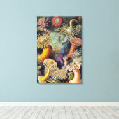 Zee onderwater Anemones door Ernst Haeckel Canvas Afdruk (Insitu (Houten vloer))