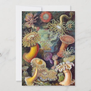Zee onderwater Anemones door Ernst Haeckel Kaart