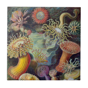  Zee onderwater Anemones door Ernst Haeckel Tegeltje