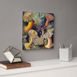  Zee onderwater Anemones door Ernst Haeckel Vierkante Klok