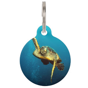 Zee onderwater schildpad huisdierpenning